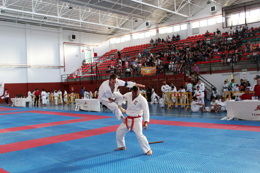 Torrijos acogió el Campeonato de España de Nihon Tai Jitsu