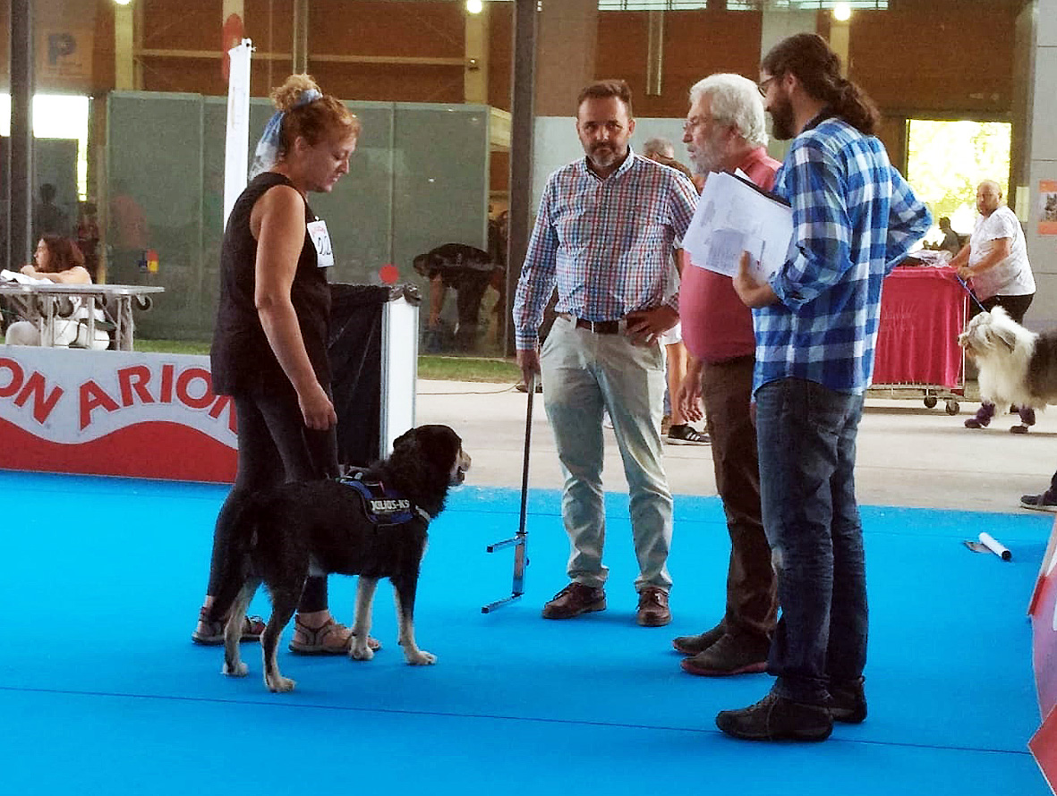 Doscientas razas se darán cita este fin de semana en la 36ª Exposición Internacional Canina