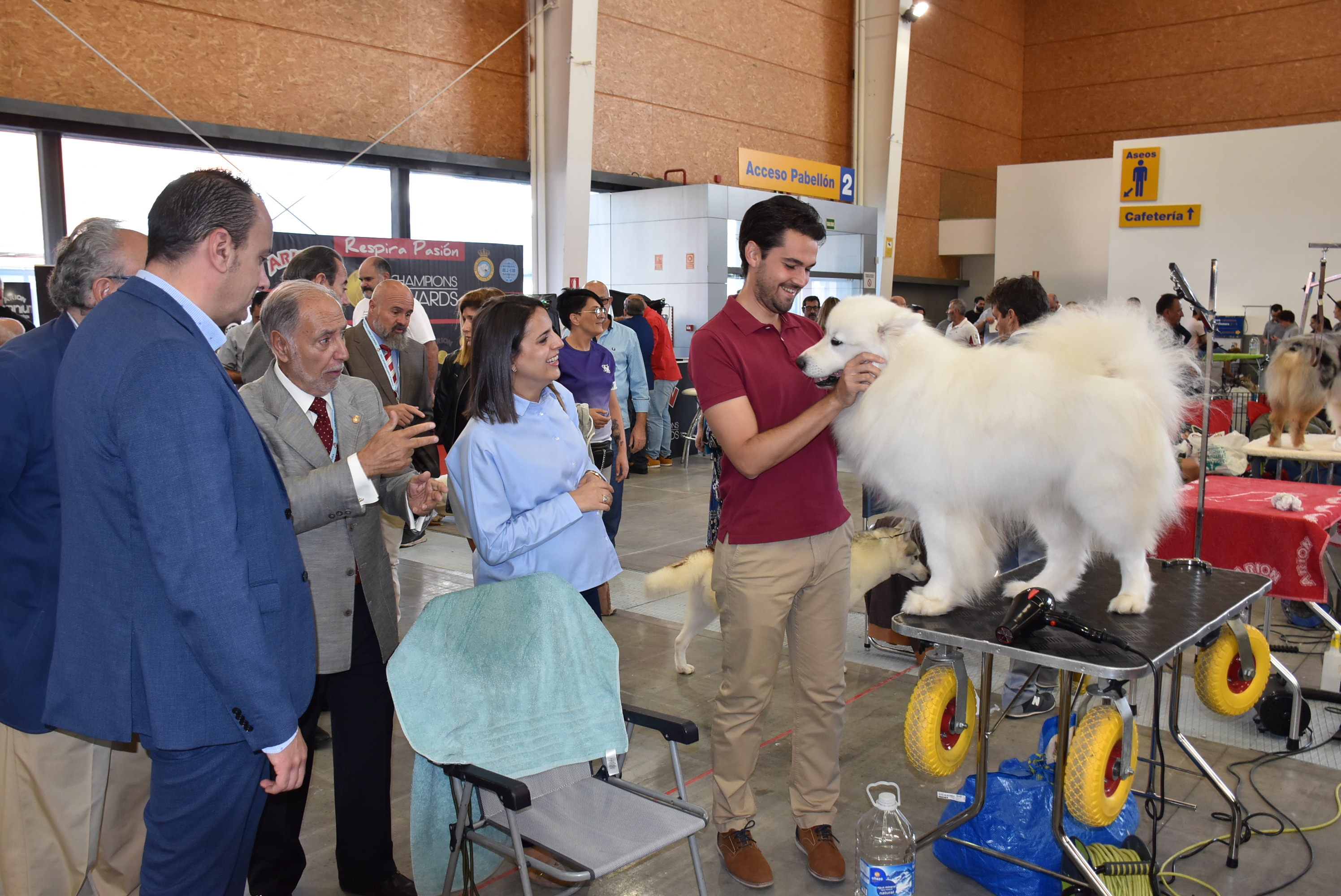 Gran éxito de la 36ª Exposición Internacional Canina de Otoño Editorial