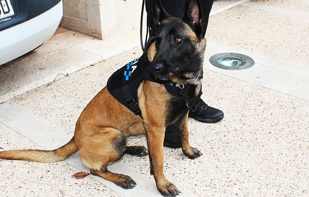 Los torrijeños contarán con unidad canina para la policía local